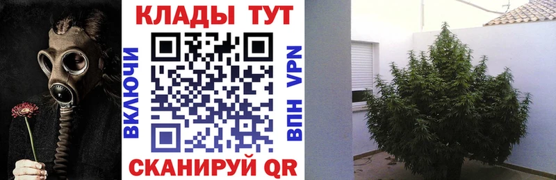 Какие есть наркотики Щучье АМФЕТАМИН  ГАШИШ  МЕТАДОН  COCAIN  Бошки Шишки 