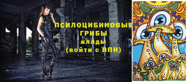 a pvp Богородск