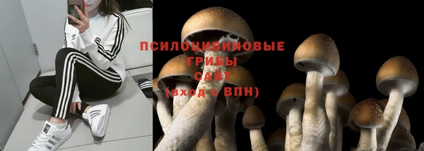 ПСИЛОЦИБИНОВЫЕ ГРИБЫ Богородицк